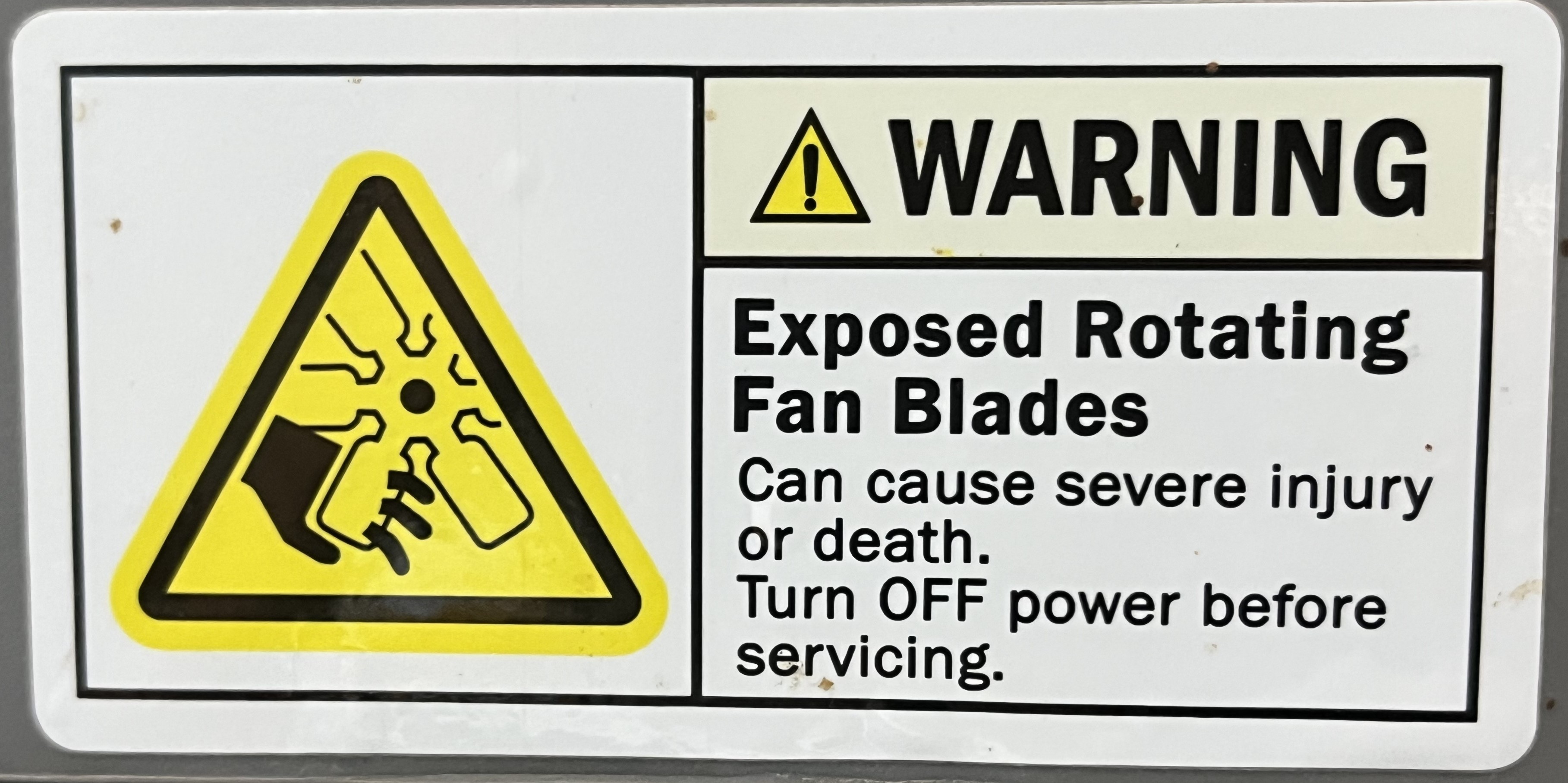 Fan