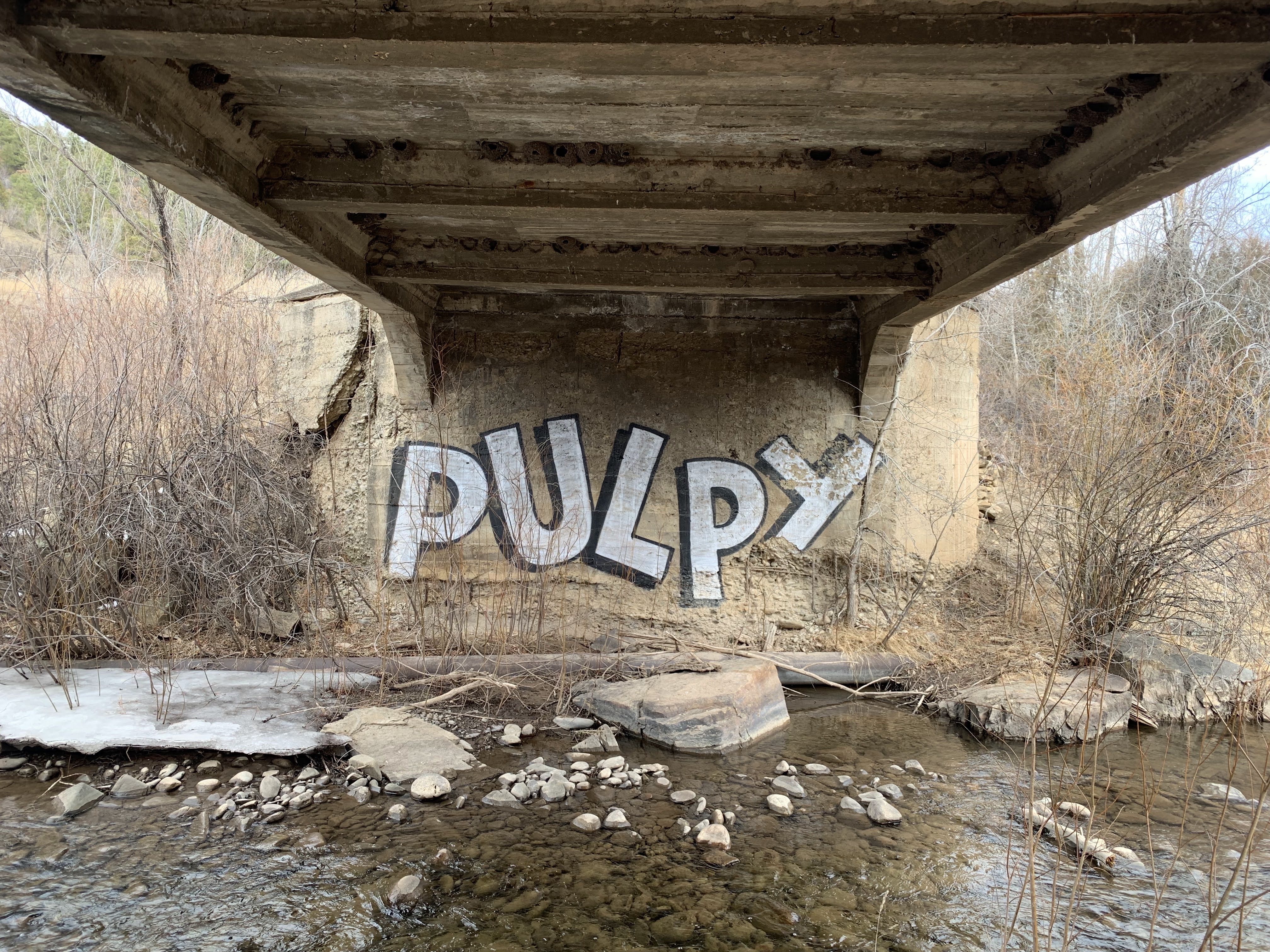PULPY